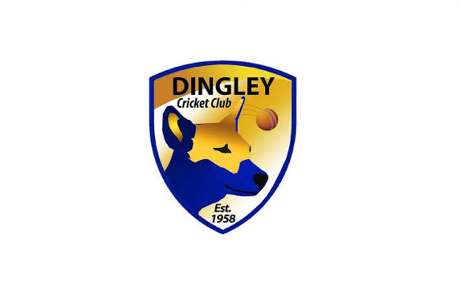 dingley-cricket-club-logo
