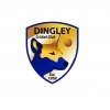 dingley-cricket-club-logo
