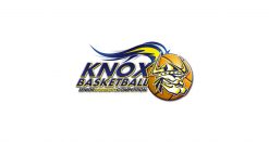 knox-basketball-club-logo