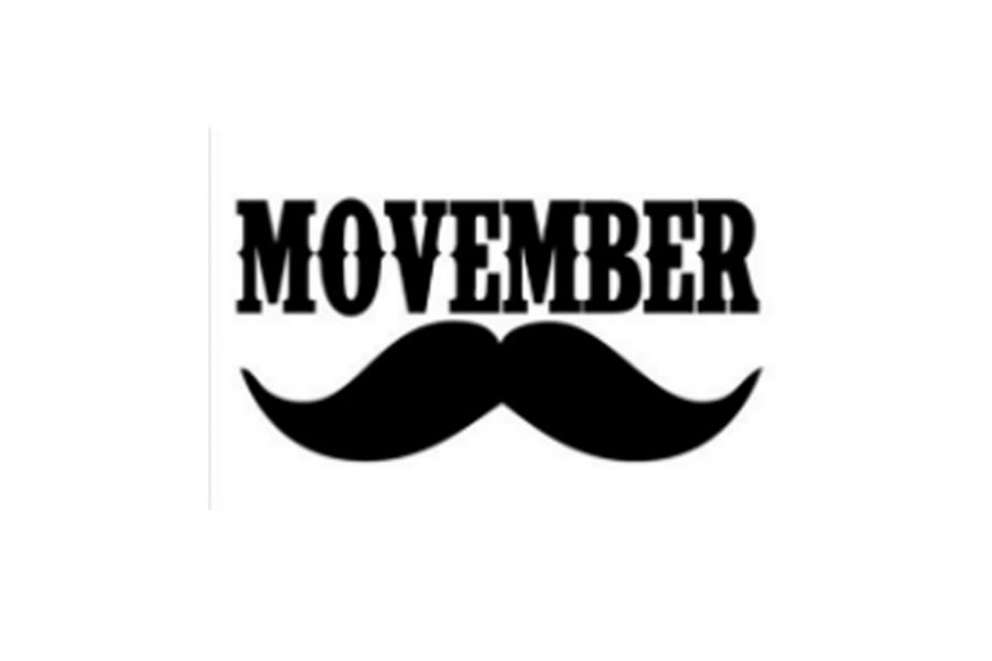 movember-bdo